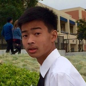 Meet your Posher, Phong